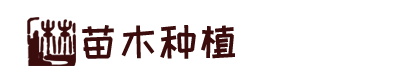 澳门皇冠a真人